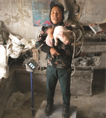 ��˲�Ʊ�̲��ϣ�Z100����ʵ֤����