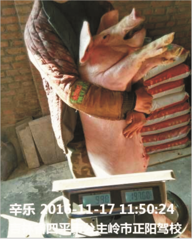 ��˲�Ʊ�����ϣ�Z101����ʵ֤����